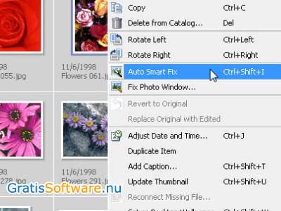 Adobe Photoshop Album Starter Edition screenshot
