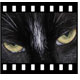 PhotoFilmStrip logo