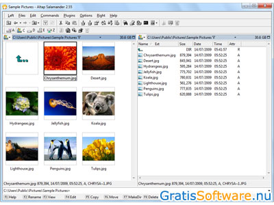 Altap Salamander windows bestandsbeheer software screenshot