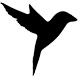 blackbird windows privacy software logo