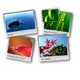 Fotowall fotocollage software logo