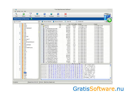 Free Data Recovery Software screenshot