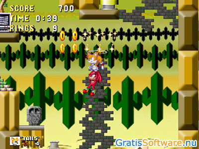Open Sonic screenshot