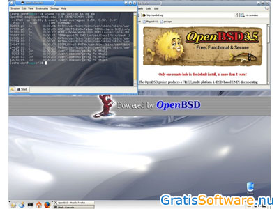 OpenBSD screenshot
