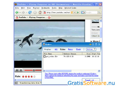 Orbit Downloader screenshot