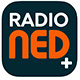 radioNED logo