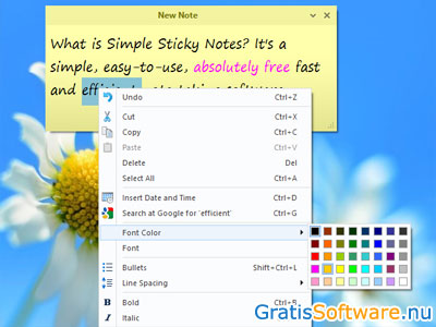 Simple Sticky Notes screenshot