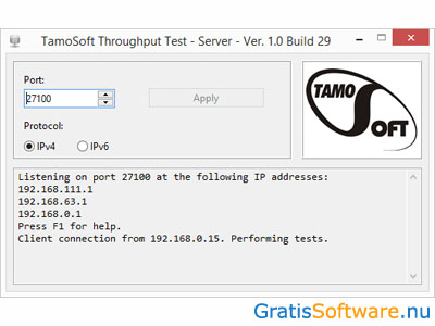 TamoSoft Throughput Test screenshot