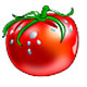 Tomato Torrent logo