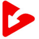 Viddly logo